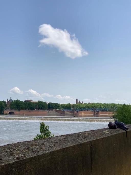 Charmant T2 Dans Toulouse Buitenkant foto